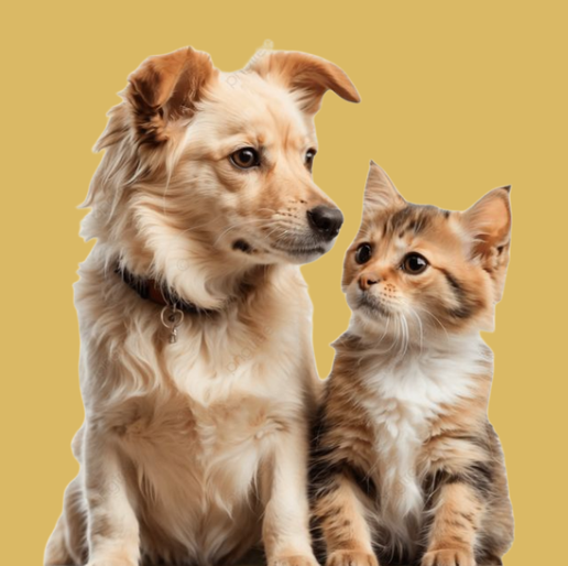 Pets